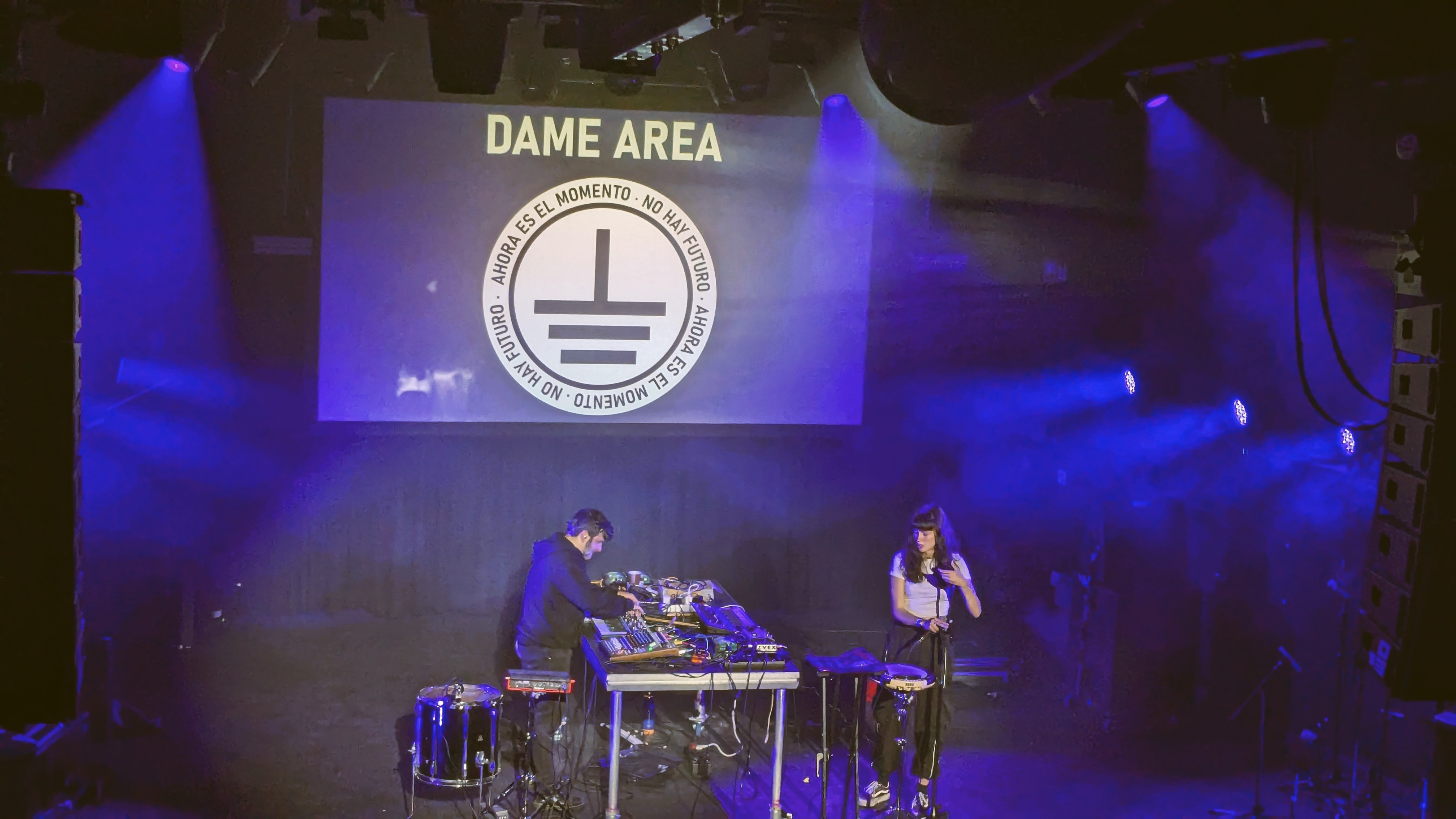 A live performance at the Roadburn music festival featuring the duo Dame Area, with a backdrop displaying their logo and a purple-lit stage.